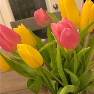 Meet your Posher, Kristy